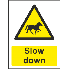 Slow Down - Horse