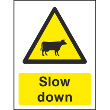 Slow Down - Cattle