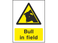 Bull In Field